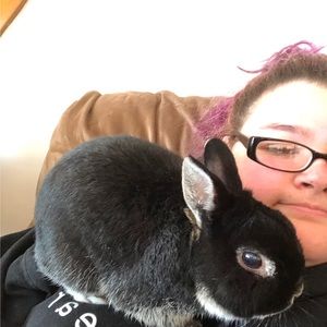 Meet your Posher, Karissa